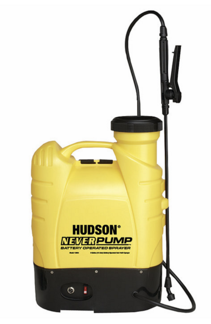 Hudson Never Pump